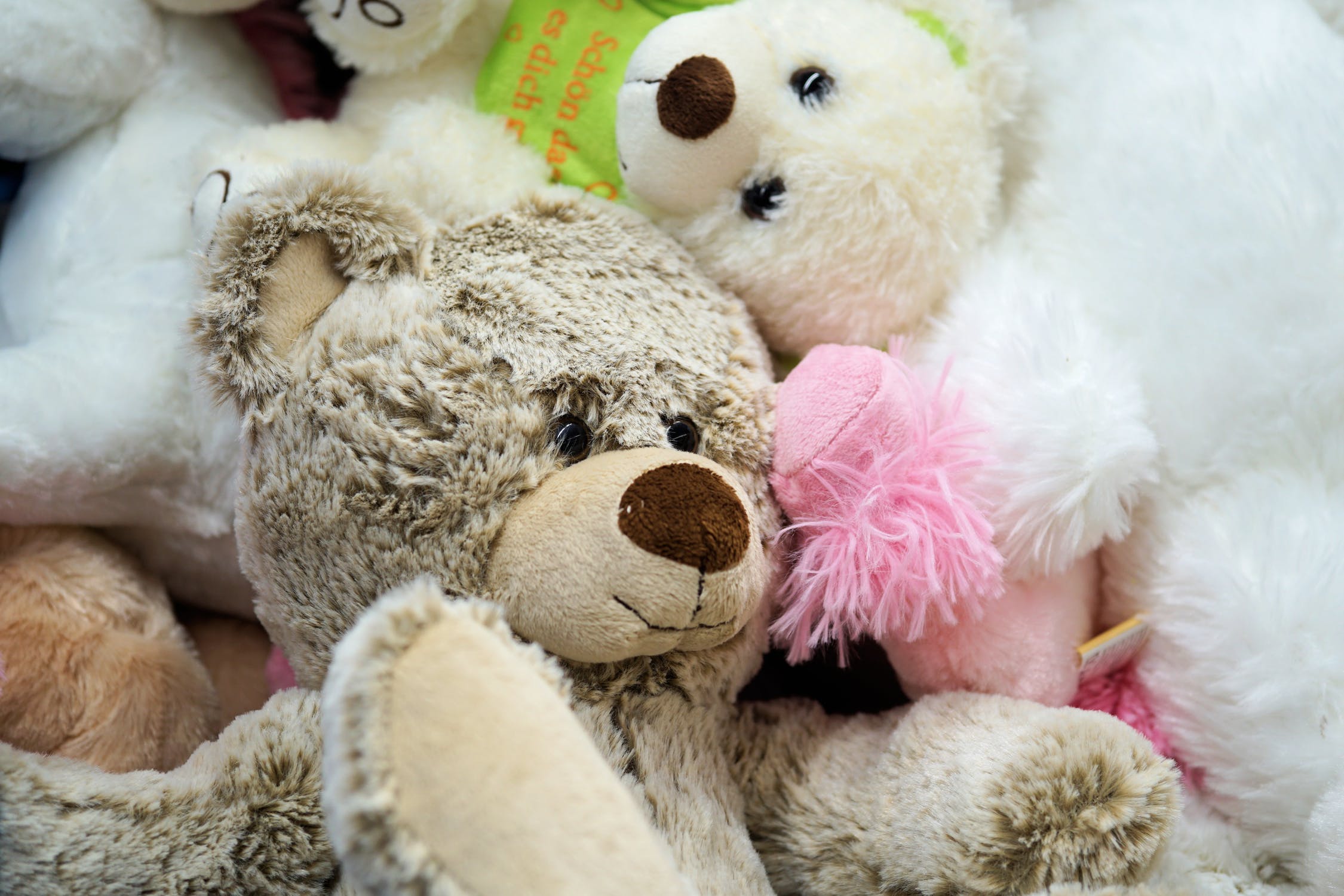 Stuffed Animals
