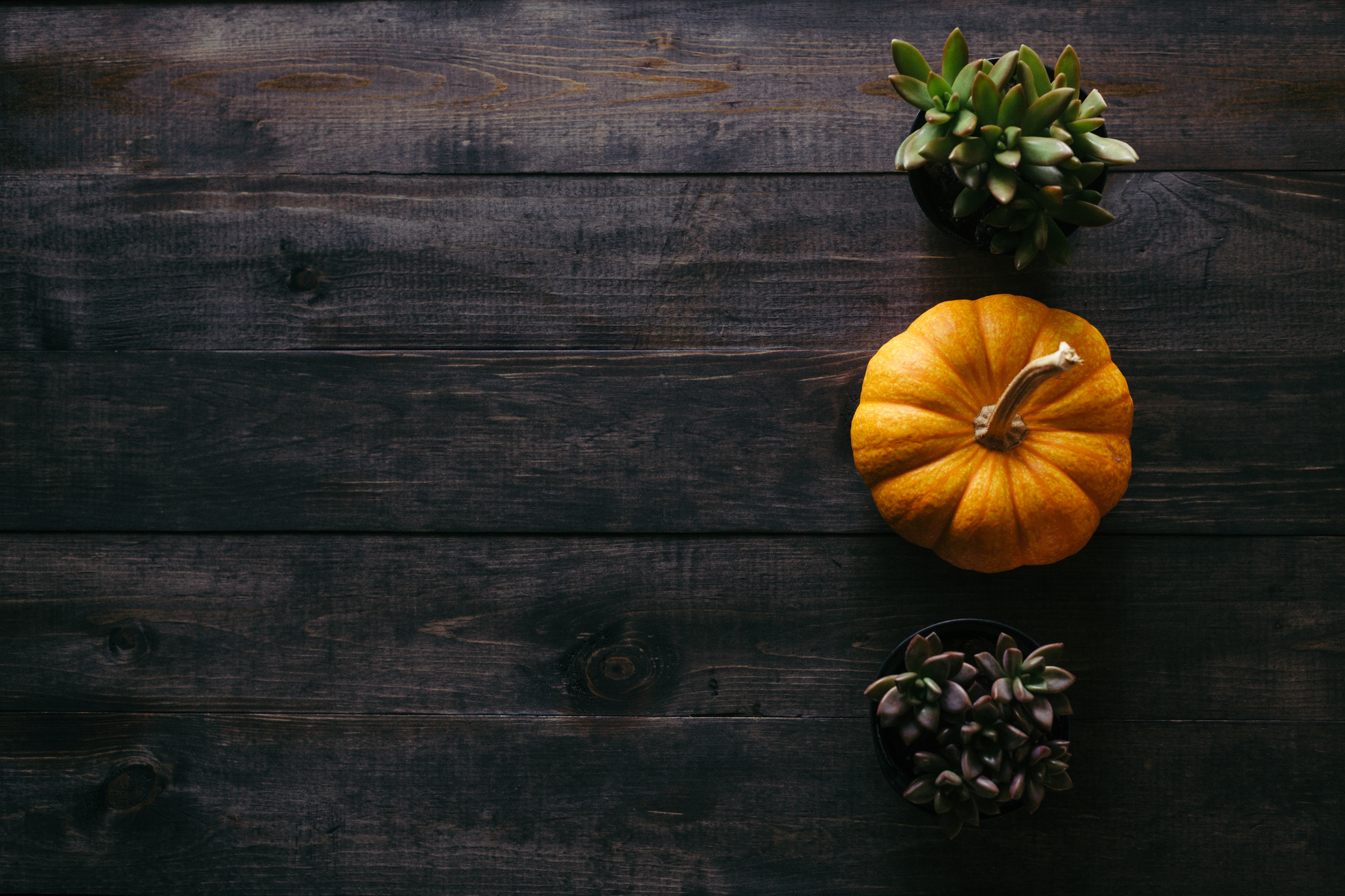 pumpkin on table