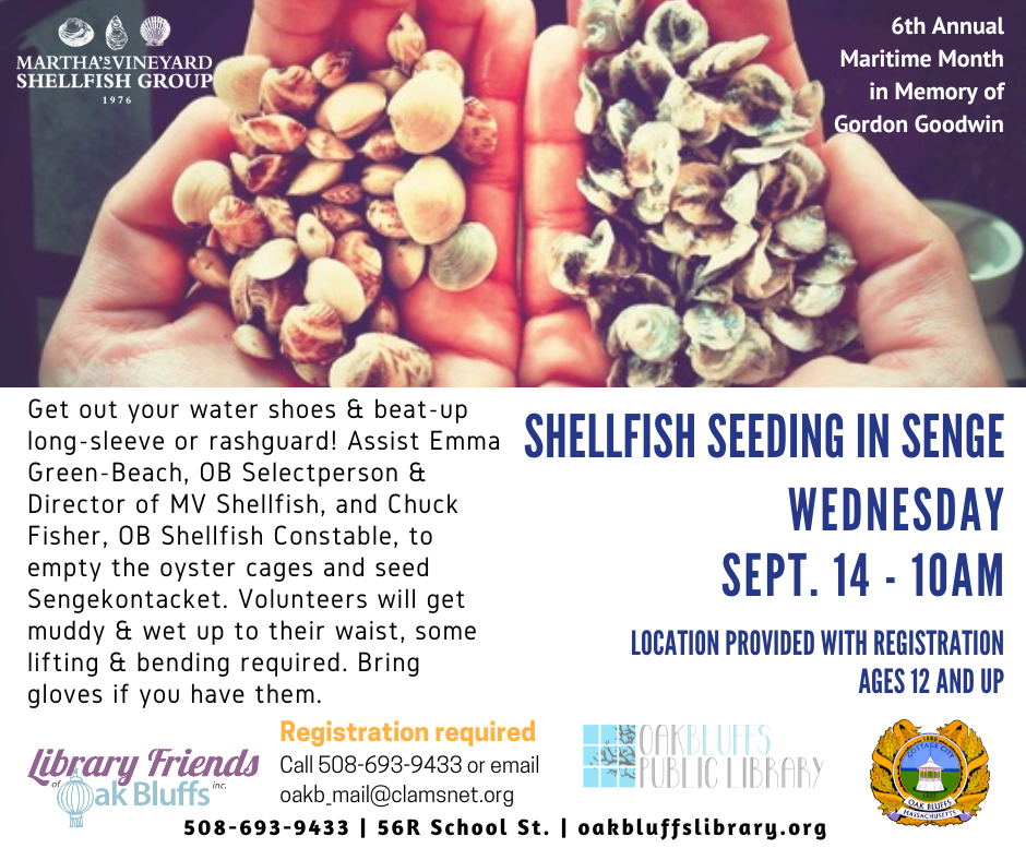 Shellfish Seeding in Senge Wednesday September 14th at 10 am. Must pre-register by calling or emailing library 508-693-9433 or oakb_mail@clamsnet.org. Get out your water shoes & beat-up long-sleeve or rashguard! Assist Emma Green-Beach, OB Selectperson & Director of MV Shellfish, and Chuck Fisher, OB Shellfish Constable, to empty the oyster cages and seed Sengekontacket. Volunteers will get muddy & wet up to their waist, some lifting & bending required. Bring gloves if you have them.